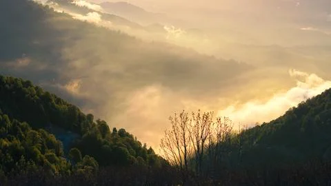 Golden rays filter through morning mist in the lush green Georgian mountains. Stock Photos