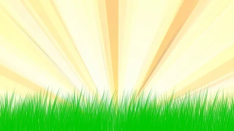 Golden rays Stock Footage 124403545