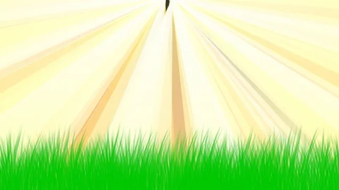 Golden rays Stock Footage 124403607