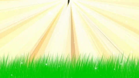 Golden rays Stock Footage 124403654