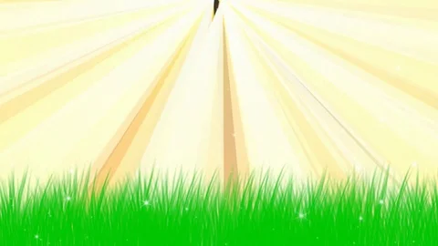 Golden rays Stock Footage 124403657