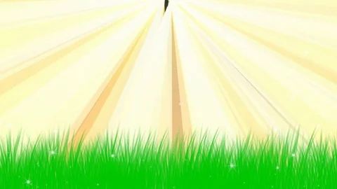 Golden rays Stock Footage 124403672