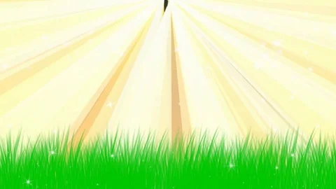 Golden rays Stock Footage 124403673