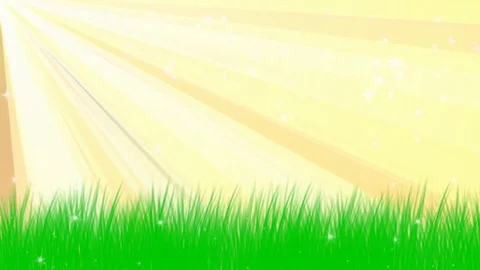 Golden rays Stock Footage 124403749