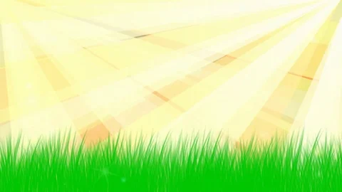 Golden rays Stock Footage 124403775