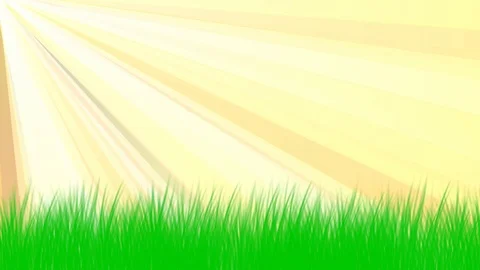 Golden rays Stock Footage 124404037