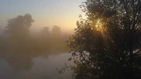 Golden rays of morning sun between the trees. Autumn concept Stock Footage 80480843