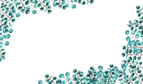 Golden rectangular frame framed by green eucalyptus leaves on a white isolate Stock Illustration