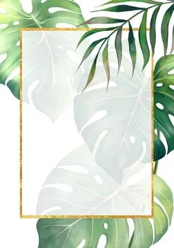Golden rectangular frame with green tropical palm and monstera leaves. Ill... 写真素材