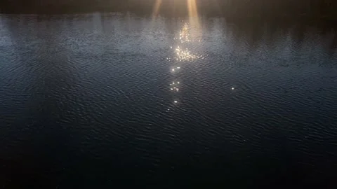 Golden reflection of the sun's rays on the waves in a small river on dark water Stock Footage 220671610