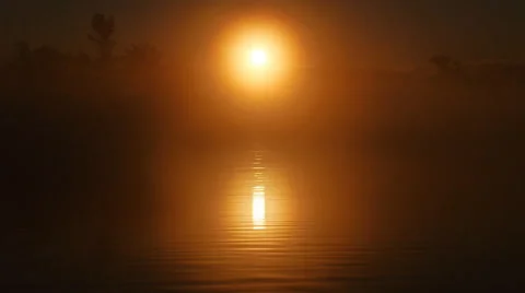 Golden reflection on water Stock Footage 68933031