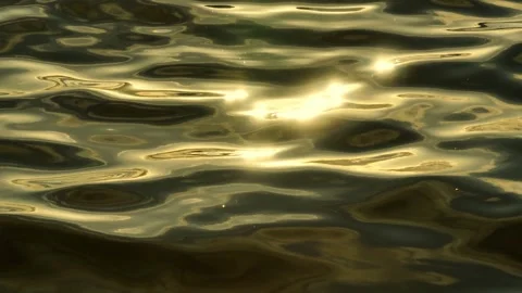 The golden reflection on the water's surface. Stock Footage 307775497