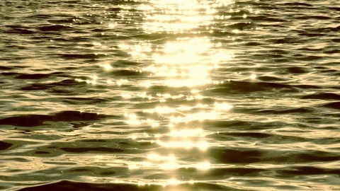 The golden reflection on the water's surface. Stock Footage 307775533