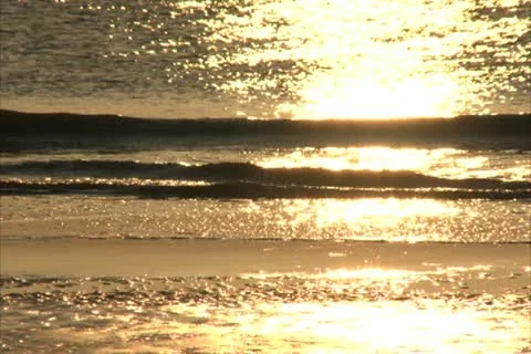 Golden Reflections on Beach Waves - NTSC Stock Footage 12263511