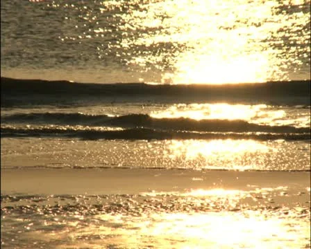 Golden Reflections on Beach Waves - PAL Stock Footage 12263509