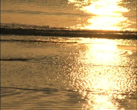 Golden Reflections on Beach Waves - PAL Stock Footage 12310907