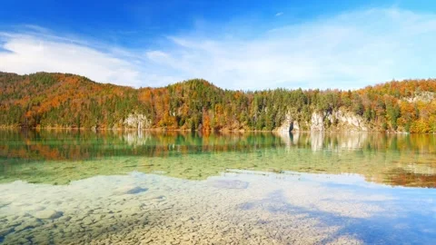 Golden reflections of fall forests on a clear lake with peaceful skies in the Stock Footage 308322278