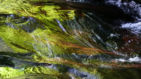 Golden reflections in a mountain stream Stock Footage 337319610