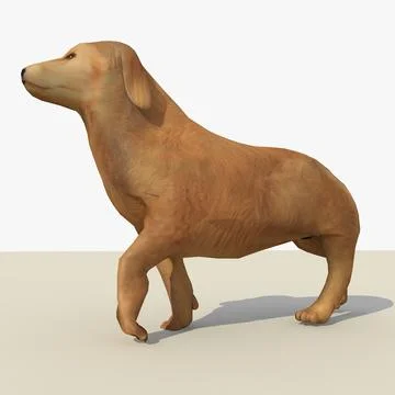 Golden Retriever Dog Animated 3D Model