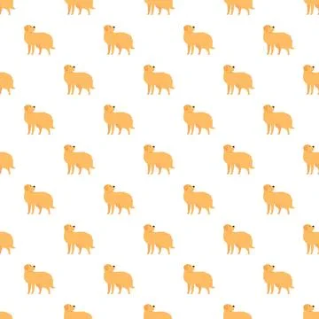Golden retriever dog seamless pattern on white background Stock Illustration