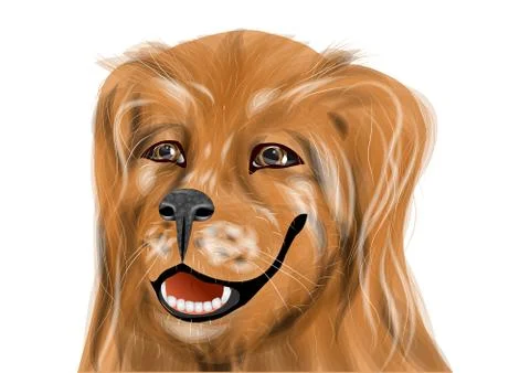 Golden retriever Stock Illustration