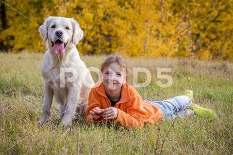 Golden retriever lying down on field with girl Stock Photos