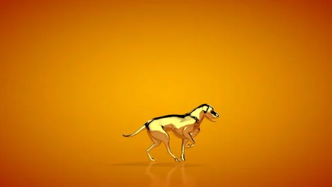 Golden retriever running, seamless loop, orange studio, Luma Matte attached Video stock 196438037
