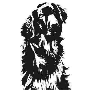 Golden retriever vector image hand drawn vector black and white Stock Illustration
