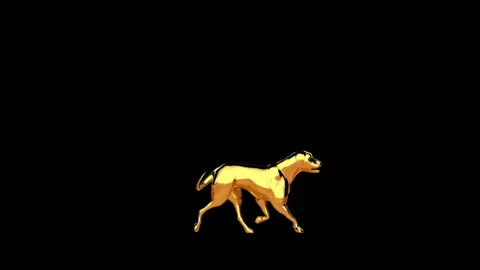 Golden retriever walking, seamless loop, against black Video stock 172158888
