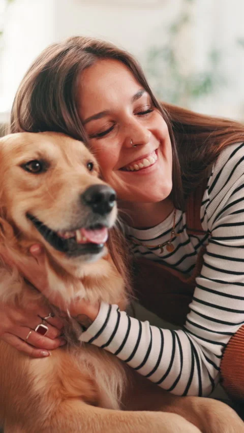 Golden retriever, woman and hug on sofa Stock Video Pond5