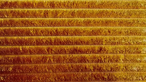 Golden ribbed texture macro closeup with warm earthy horizontal stripes and p Foto stock