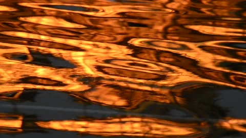 Golden ripple Stock Footage 137417402