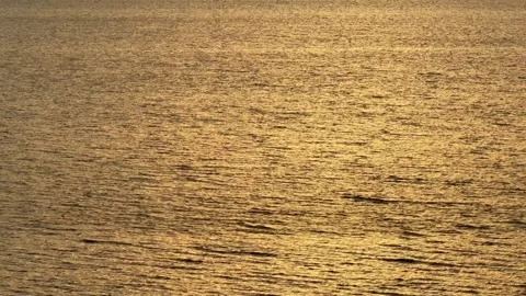 Golden Ripples at Chatham, Cape Cod on the Atlantic Ocean 動画素材 325407352