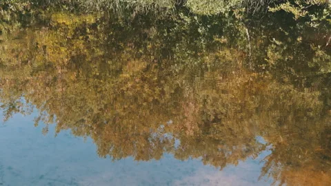 Golden River Reflection, Warm Hues Stock Footage 293272804