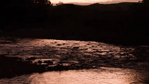 Golden River in Serra da Canastra Stock Footage 154812296