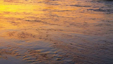 Golden river surface at sunset Stock Footage 168531435