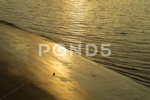 Golden riverbank Stock Photos