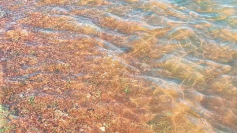 Golden Riverbed Beneath Clear Rippling Water Stock Footage 340305057