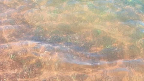 Golden Riverbed Beneath Clear Rippling Water Vídeos de archivo 340305191