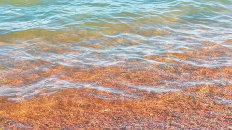 Golden Riverbed Beneath Clear Rippling Water Stock-Footage 340305204