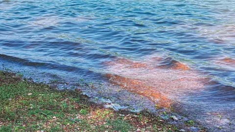 Golden Riverbed Beneath Clear Rippling Water Stock Footage 340305374