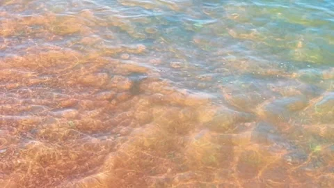 Golden Riverbed Beneath Clear Rippling Water Stock Footage 340305710