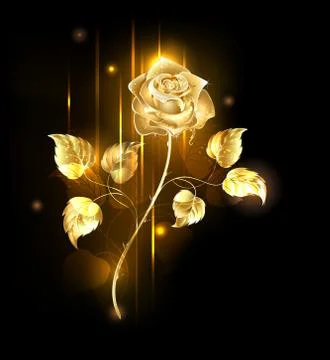 Golden Rose Stock Illustration
