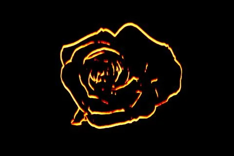 Golden Rose Illustrazione stock