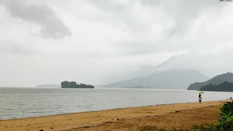 Golden Sand Beach Stock Footage 142739447