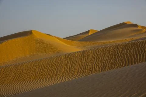 Golden sand dunes with rippled patterns under a clear sky, Dhofar Governora.. Stock Photos