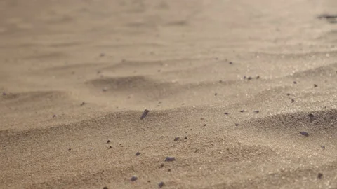 Golden sand glitters in the sun and it is blown away by a strong wind. Stock Footage