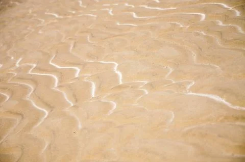 Golden sand patterns form mesmerizing designs under sunlight on a serene beac Stock Photos