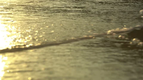 Golden sand with rolling waves at sunset Stock Footage 112953600
