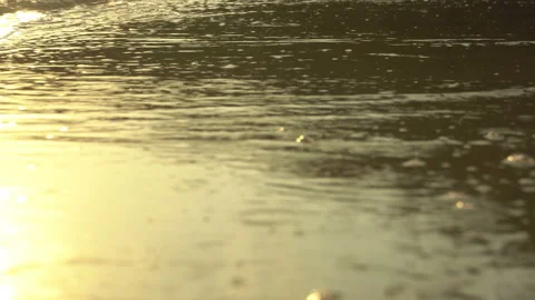 Golden sand with rolling waves at sunset Stock Footage 112953726